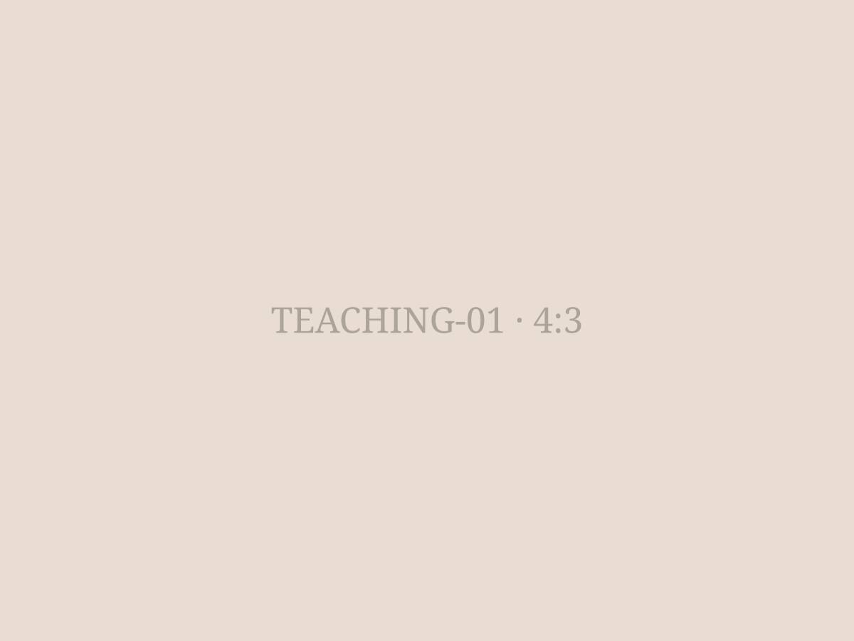 Teachers planning lessons together